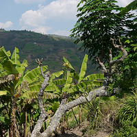 Photo de Rwanda - Chez le grand-papa